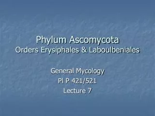 Phylum Ascomycota Orders Erysiphales &amp; Laboulbeniales