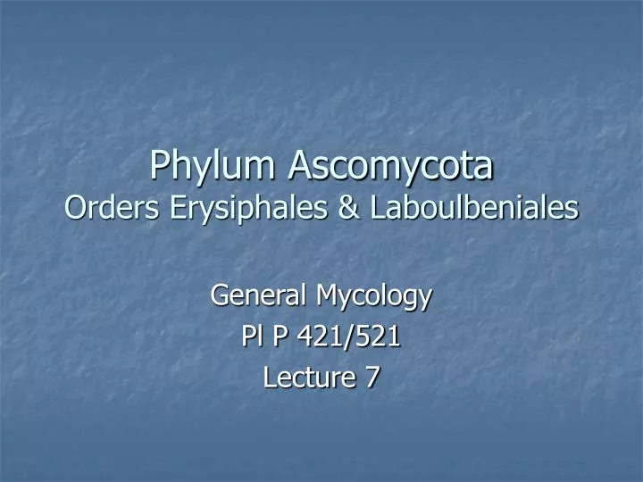 phylum ascomycota orders erysiphales laboulbeniales