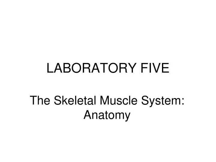 laboratory five