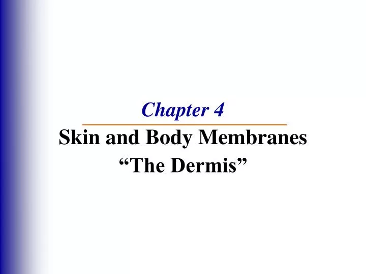 chapter 4 skin and body membranes the dermis