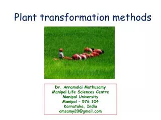 Plant transformation methods
