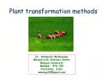 Plant transformation methods - slide 1