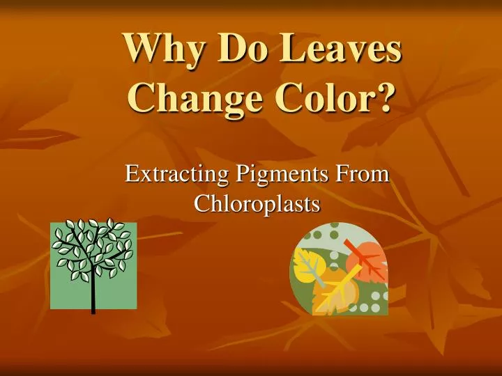 why do leaves change color