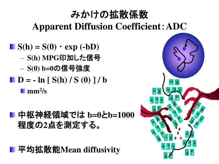 apparent diffusion coefficient adc