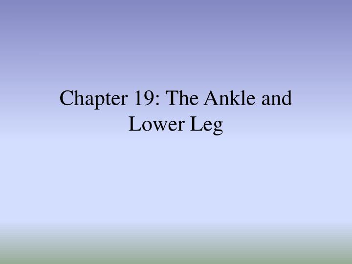 chapter 19 the ankle and lower leg