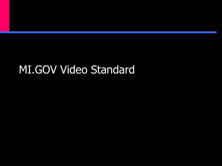 mi gov video standard