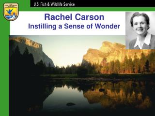 Rachel Carson Instilling a Sense of Wonder