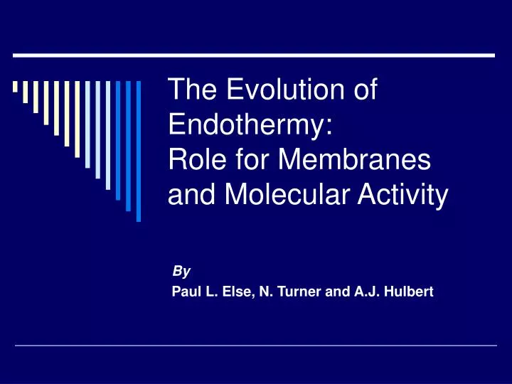 the evolution of endothermy role for membranes and molecular activity