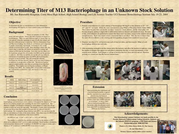 determining titer of m13 bacteriophage in an unknown stock solution