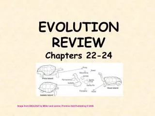 EVOLUTION REVIEW Chapters 22-24
