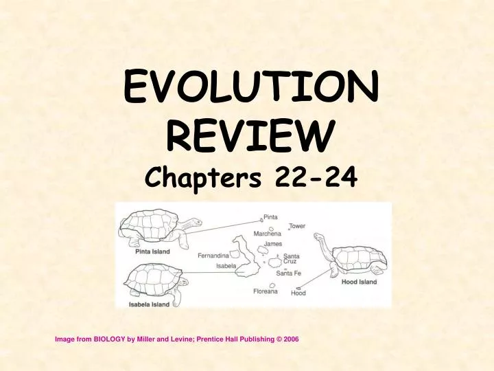evolution review chapters 22 24