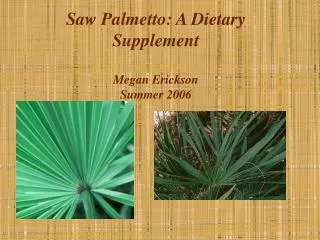 Saw Palmetto: A Dietary Supplement Megan Erickson Summer 2006