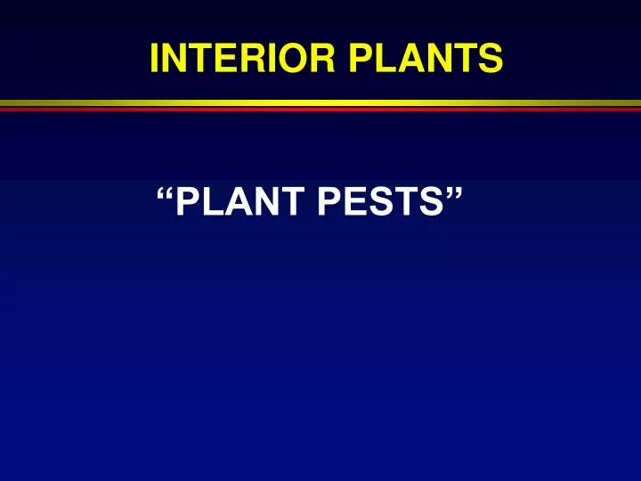 plant pests