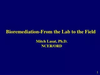 Bioremediation-From the Lab to the Field