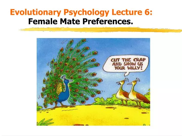 evolutionary psychology lecture 6 female mate preferences
