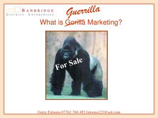 What is Gorilla Marketing?