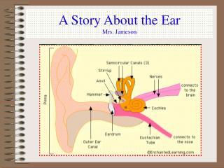 A Story About the Ear Mrs. Jameson