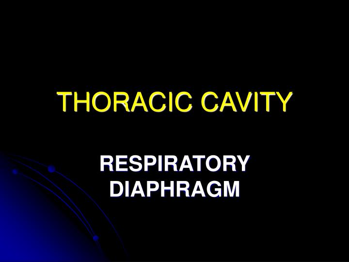 thoracic cavity