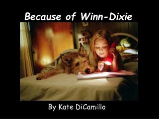 Because of Winn-Dixie