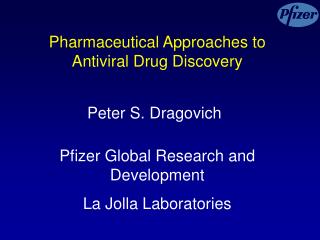 Pharmaceutical Approaches to Antiviral Drug Discovery