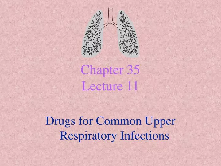 chapter 35 lecture 11