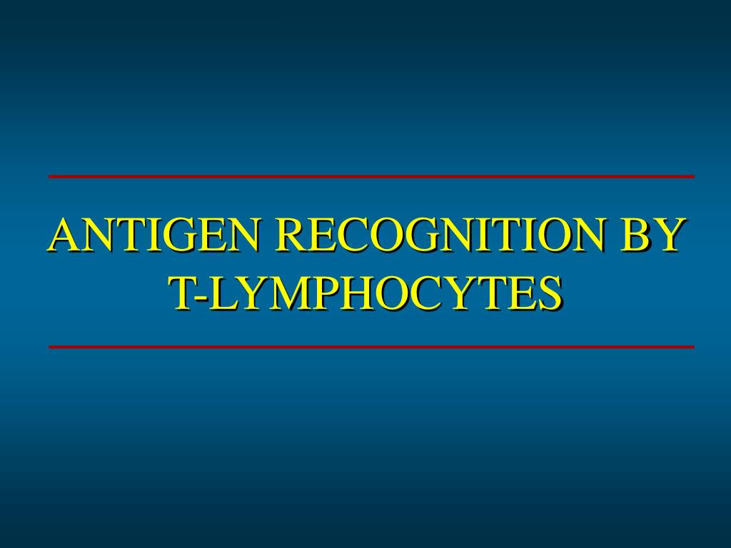 PPT - ANTIGEN RECOGNITION BY T-LYMPHOCYTES PowerPoint Presentation ...