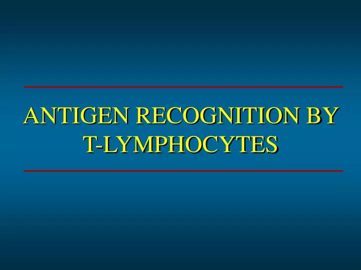antigen recognition by t lymphocytes