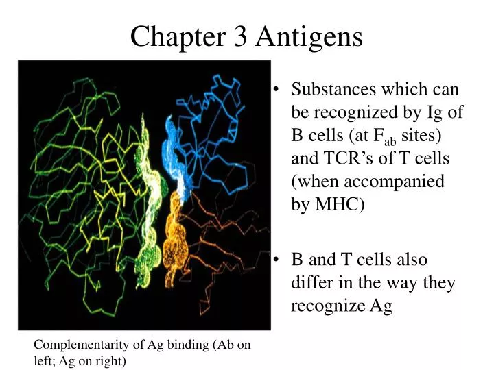 chapter 3 antigens
