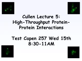 Cullen Lecture 5: High-Throughput Protein-Protein Interactions Test Capen 257 Wed 15th 8:30-11AM