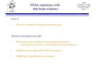 FNAL experience with thin beam windows