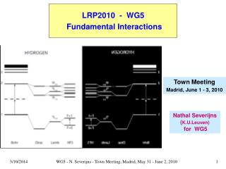 LRP2010 - WG5 Fundamental Interactions