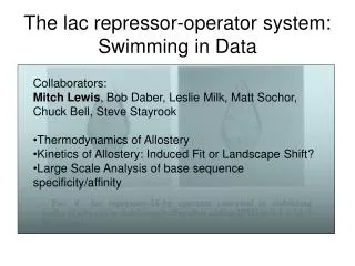 The lac repressor-operator system: Swimming in Data