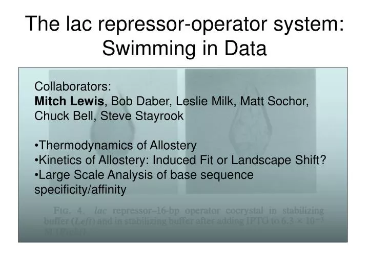 the lac repressor operator system swimming in data