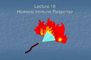 Lecture 18 Humoral Immune Response