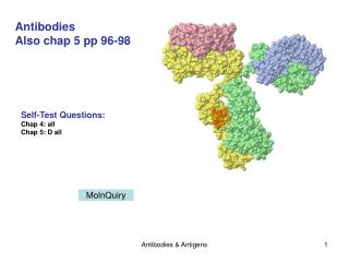 Antibodies Also chap 5 pp 96-98