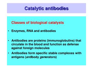Catalytic antibodies
