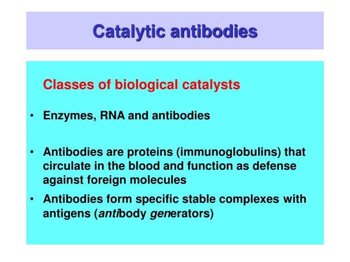 catalytic antibodies