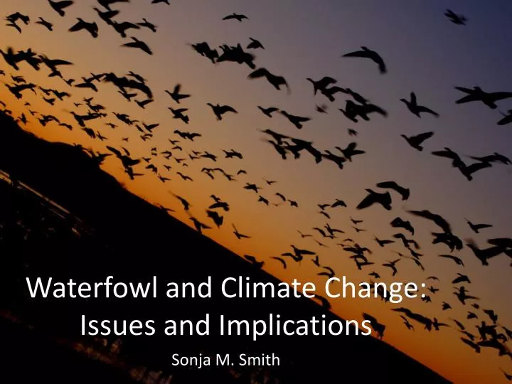 waterfowl and climate change issues and implications