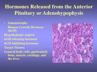 Hormones Released from the Anterior Pituitary or Adenohypophysis