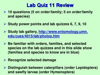 Lab Quiz 11 Review