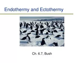 Endothermy and Ectothermy