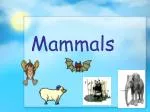 Mammals - slide 1