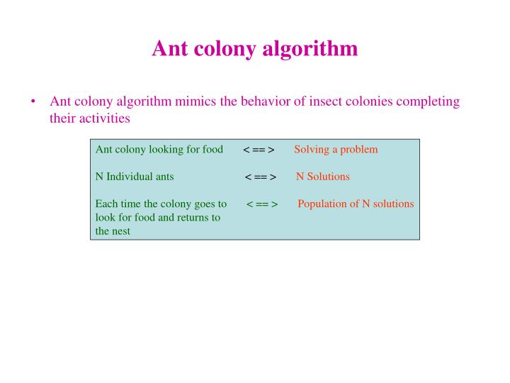 ant colony algorithm