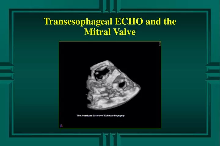transesophageal echo and the mitral valve