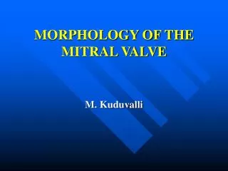 MORPHOLOGY OF THE MITRAL VALVE