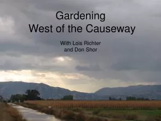 Gardening West of the Causeway