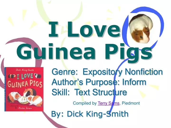 i love guinea pigs