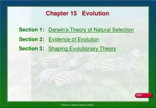 Chapter 15 Evolution