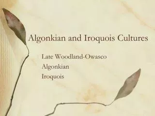Algonkian and Iroquois Cultures