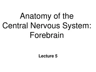 Anatomy of the Central Nervous System: Forebrain